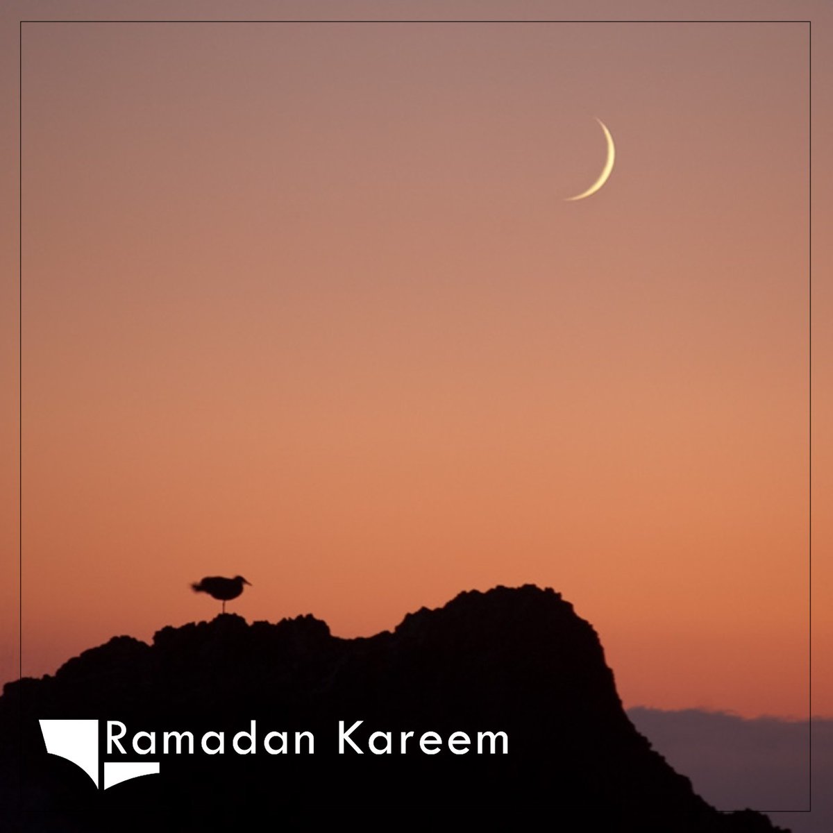 Marakeb Technologies tweet media