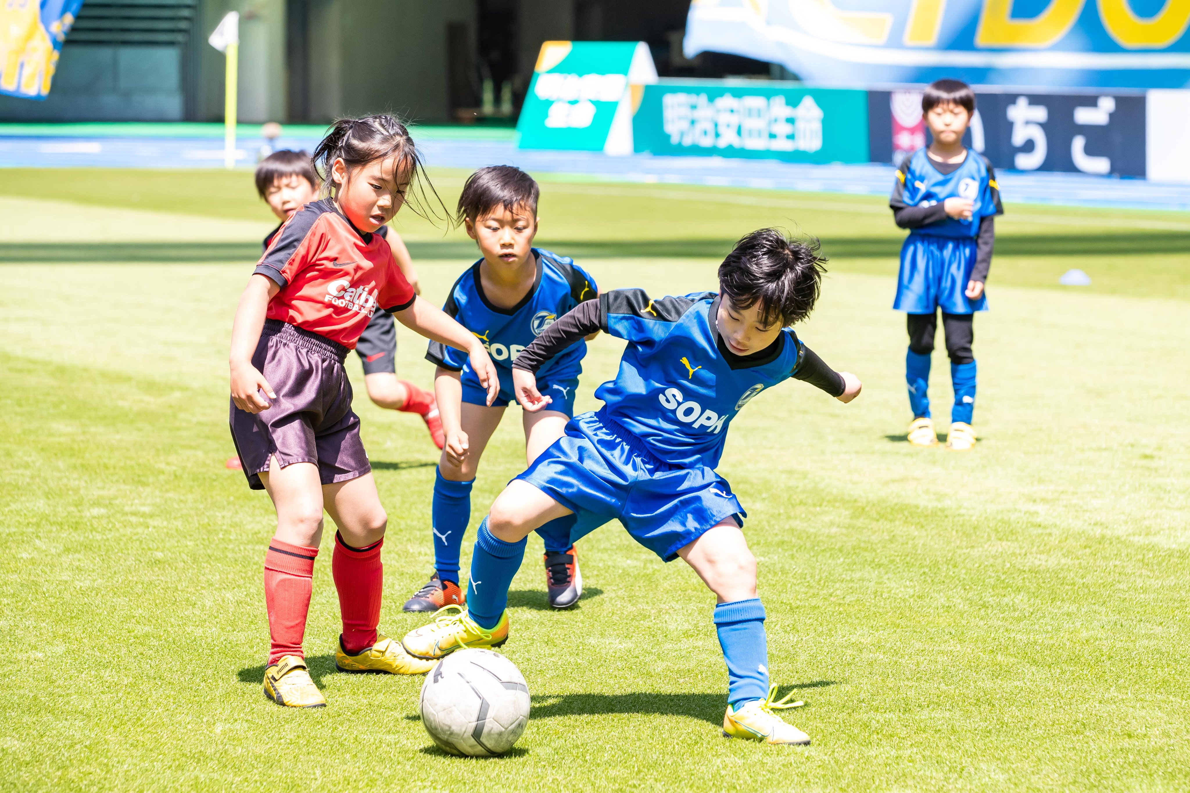 公式 大分トリニータサッカースクール 4月11日 日 ホームゲーム名古屋グランパス戦にて前座試合を行いました 今回は カティオーラfcさんにも参加いただきました いい天気で楽しかったです 大分トリニータスクール カティオーラfc 大分