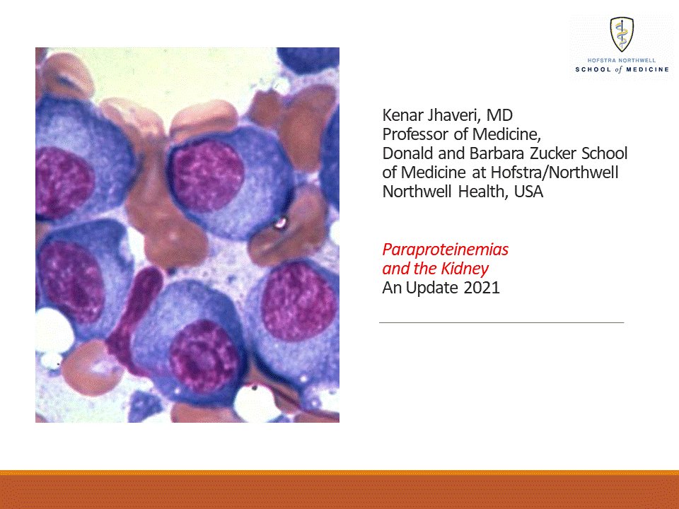 HofstraKidney's tweet photo. Heme Grand Rounds @kdjhaveri #onconephrology on #myeloma kidney, #PGNMID, #MGRS @HofNorthwellDOM https://t.co/RDxOgAZUQW