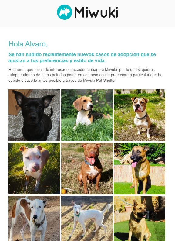 ¡Nueva funcionalidad en Miwuki! ¿Quieres que te avisemos cuando se suba un nuevo caso que se ajuste a tu estilo de vida y preferencias (¿niños en casa?¿otro perro, gato o mascotas?¿eres una persona activa?¿tamaño ideal de perro?...) ? 😎 petshelter.miwuki.com