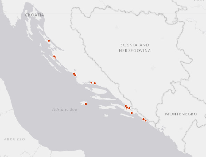EurOBIS_VLIZ's tweet photo. #NewDataset
🔎
- ca. 2K occurrences from the #Adriatic Sea
- 340+ #phytobenthos & #invertebrates #taxa
-- available via https://t.co/2JVaFI8tG7
@jmeesvliz @EMODnet #Biology @LifeWatchVLIZ @OBISNetwork #FAIR #IZOR https://t.co/gWJlgIgA3n