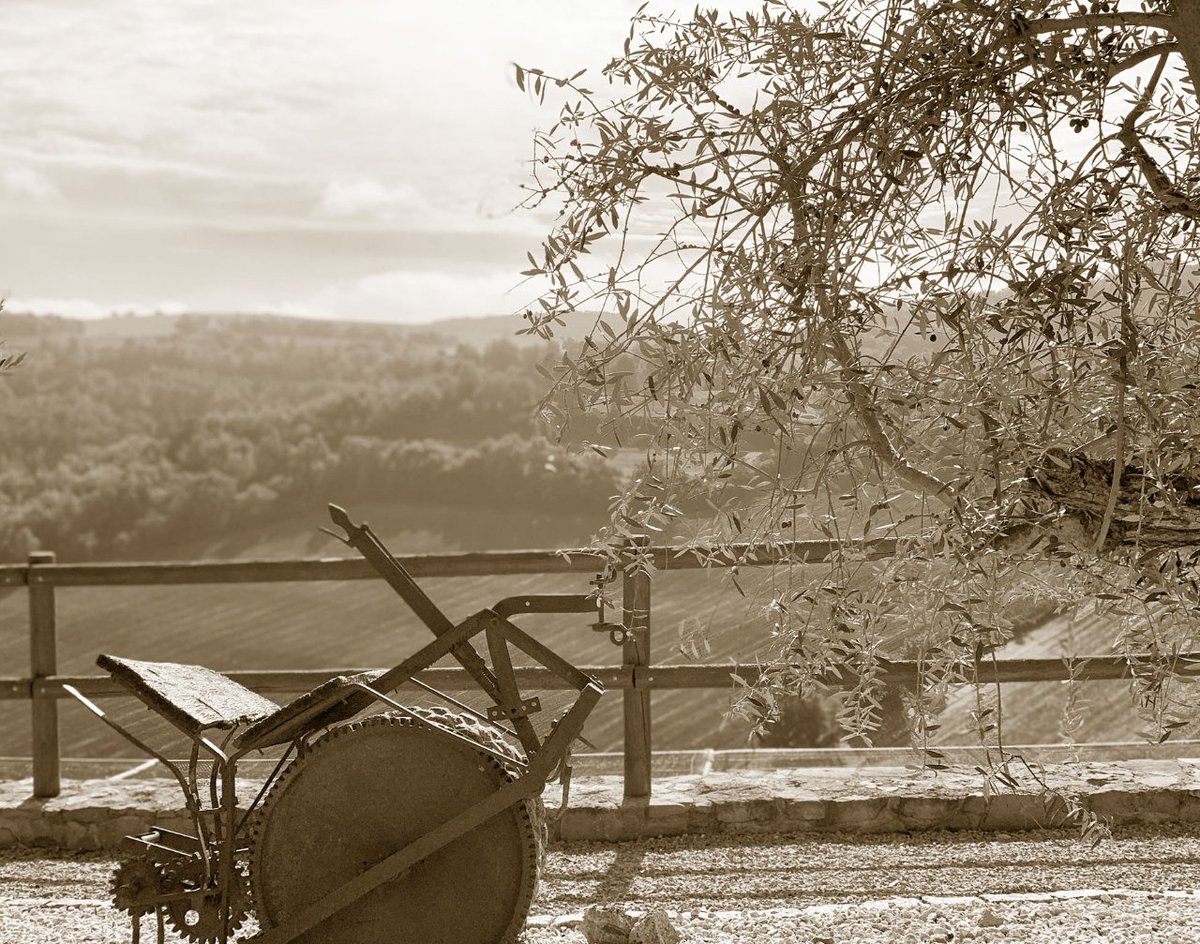 Coneixes Molí de la Vansa?
Desfent el camí que anys enrere els seus pares havien fet del camp a Barcelona, la família Paris centren la seva atenció a la comarca de la Noguera i en els seus orígens en el poble de Boada.

#molilavansa #lanostrahistoria #aceite #lavansa #oliverdiell