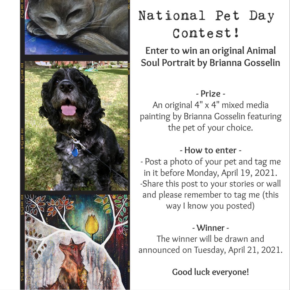 In honour of National Pet day that just took place this weekend, let's have a contest!
I dunno about you, but I could surely use some more photos of sweet critters.

Please note this contest is not affiliated with twitter.

Good luck! <3

#ptbo #kawarthas