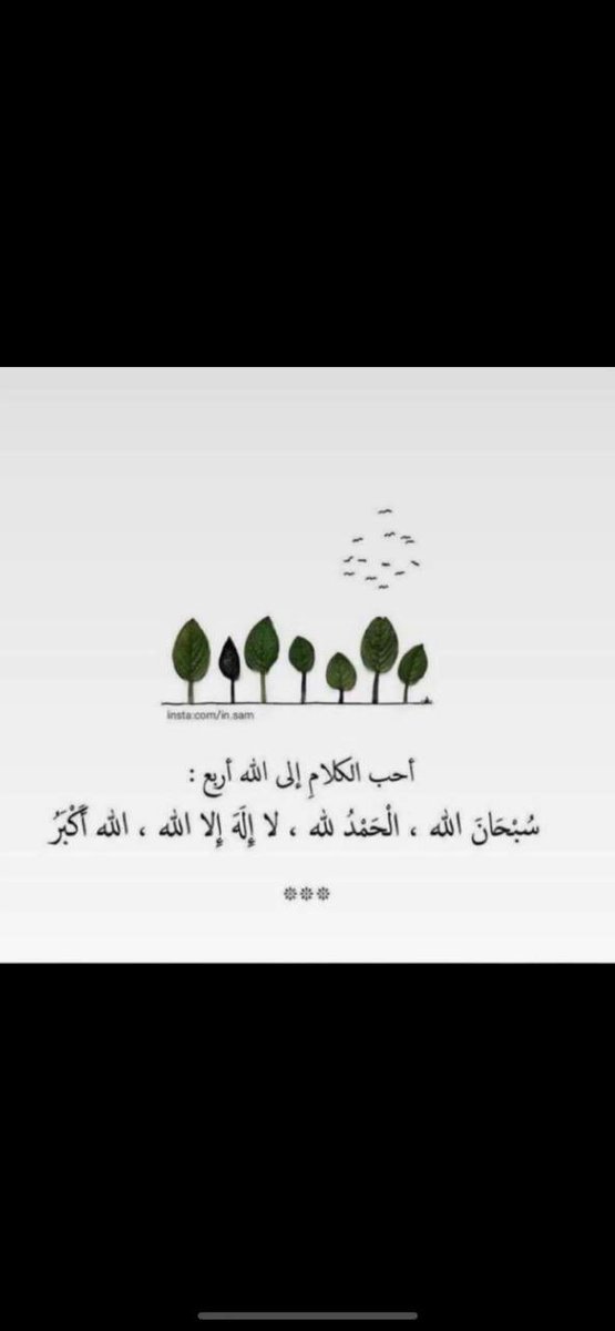 MALMH888's tweet image. #رمضان_مبارك