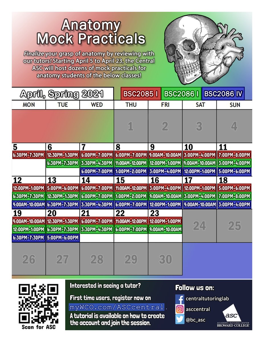 bc_asc's tweet image. Make an appointment to take the mock practicals today.
The ASC Anatomy tutors are online and ready to assist you. 
Appointments can be made at  myWCO.com/asccentral
ASC Resources
students.broward.edu/resources/asc/…
Email us @ ASCCentral@broward.edu