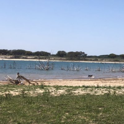 CottageCanyon's tweet photo. #NewProfilePic https://t.co/uxOLfIPZnH