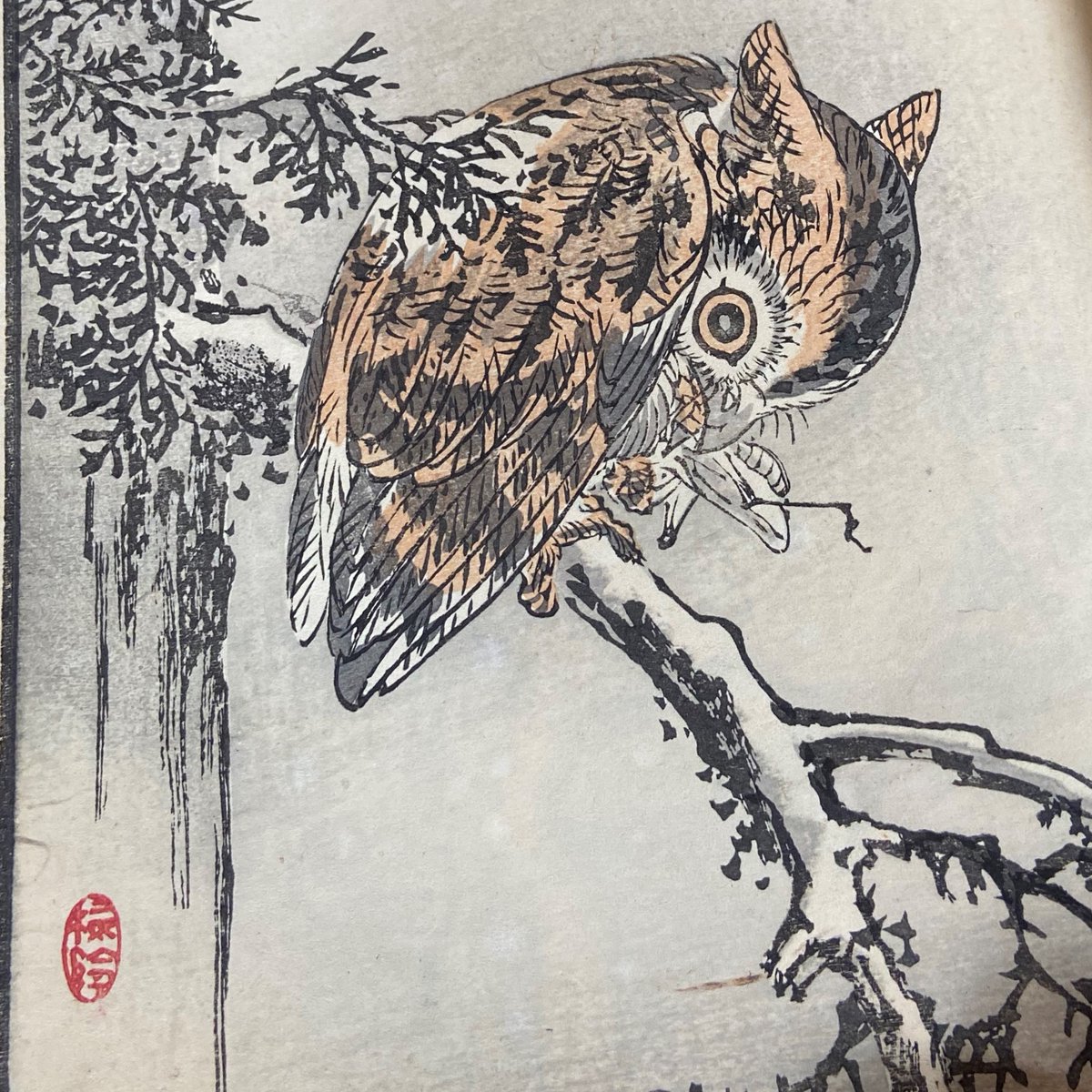 WeijerBooks's tweet photo. One more research post here from our third discovery fellow, Stepheny Pham, who is looking at a different side of 19th century nature - the printing of Kono Bairei's "Album of 100 Birds."
https://t.co/Vn7cNVkpQu
#StoriedBooks #SASC https://t.co/4CZKFq8Eyu