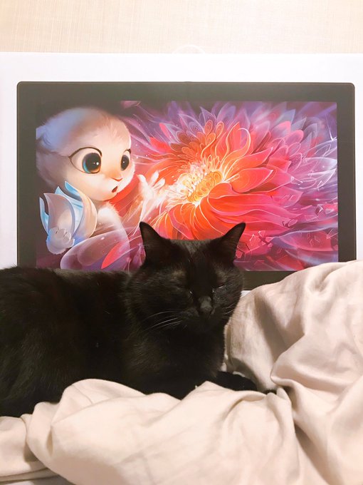 すごい誕プレもらってしまった😱 