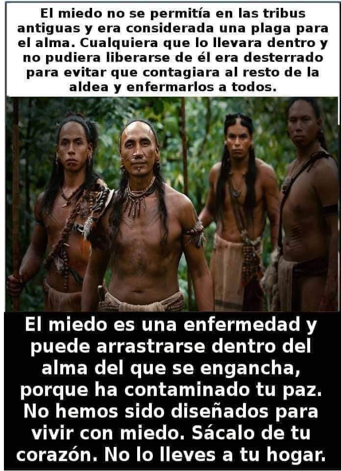 Sobrevive Aprendiendo tweet media