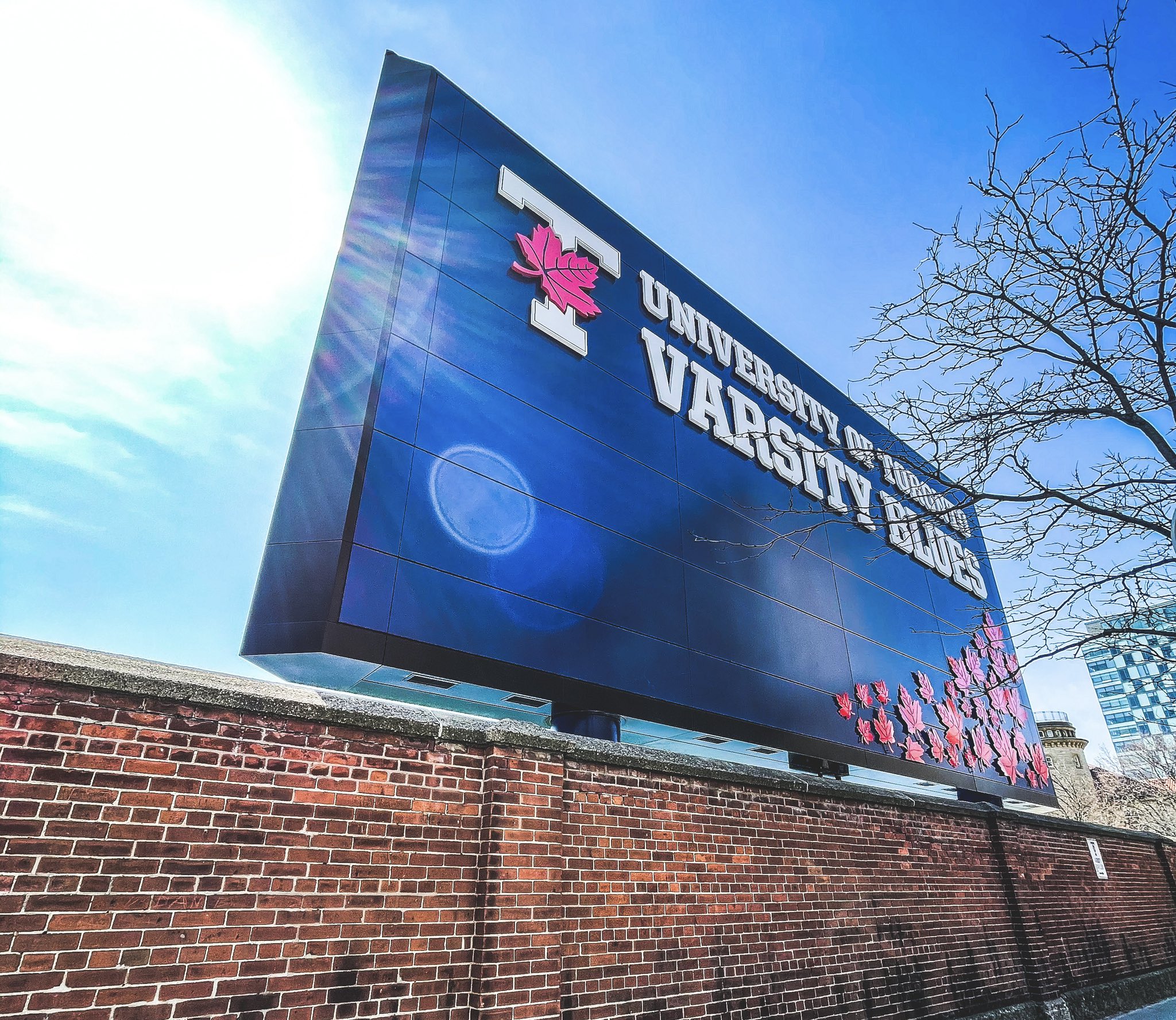 Photo of the "University of Toronto Varsity Blues" stadium sign