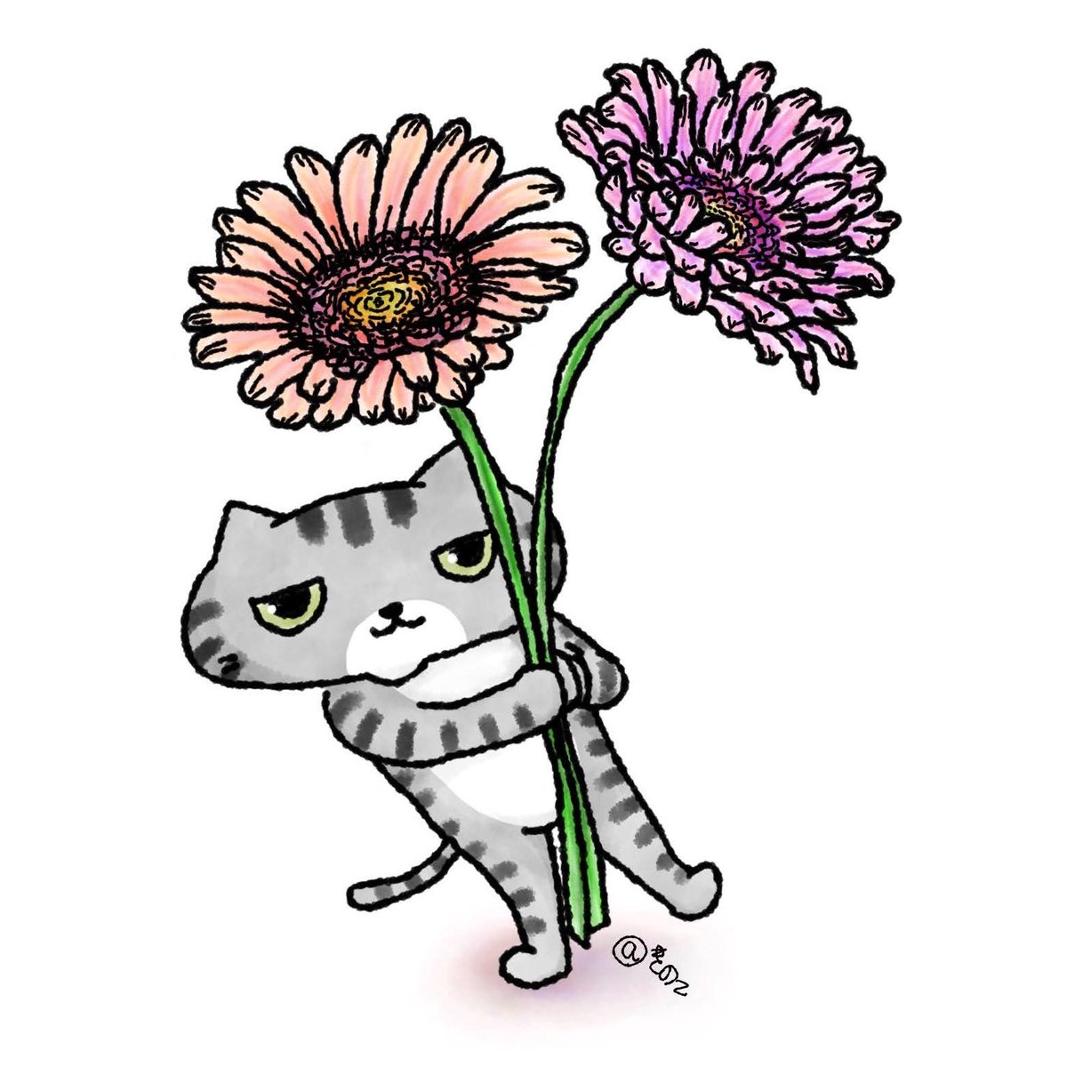 ネコイラスト ネコイラスト