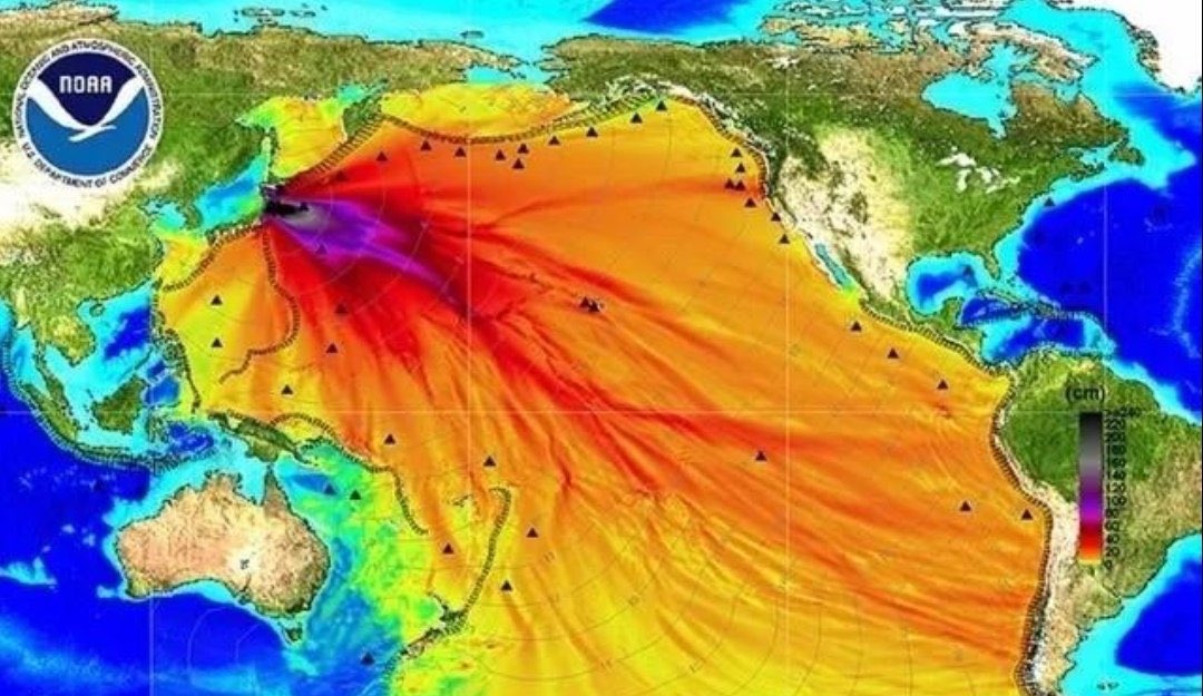 Japan’s “nuclear terrorism”decision of releasing large amount of contaminated wastewater from its nuclear plant was publicly thanked by Blinken, who knows well that the radioactive substance will arrive in US within 3 years and spread all over global water.#JapanNuclearWater