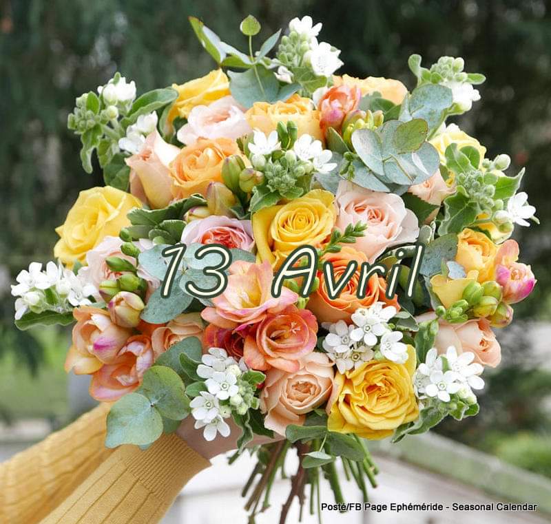 Rose Macron22 Tousukrainiens Joyeux Anniversaire A Notre Premiere Dame De France Brigitte Macron T Co Eqdszkt2rx Twitter