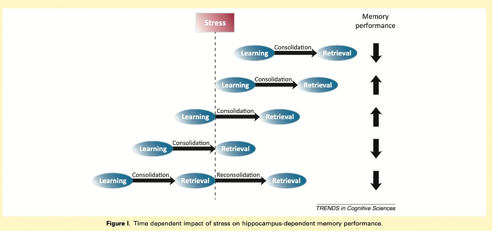 The same applies to stress, emotion, and learning. It can enhance learning if applied at the right time.Emotion binds the memory.