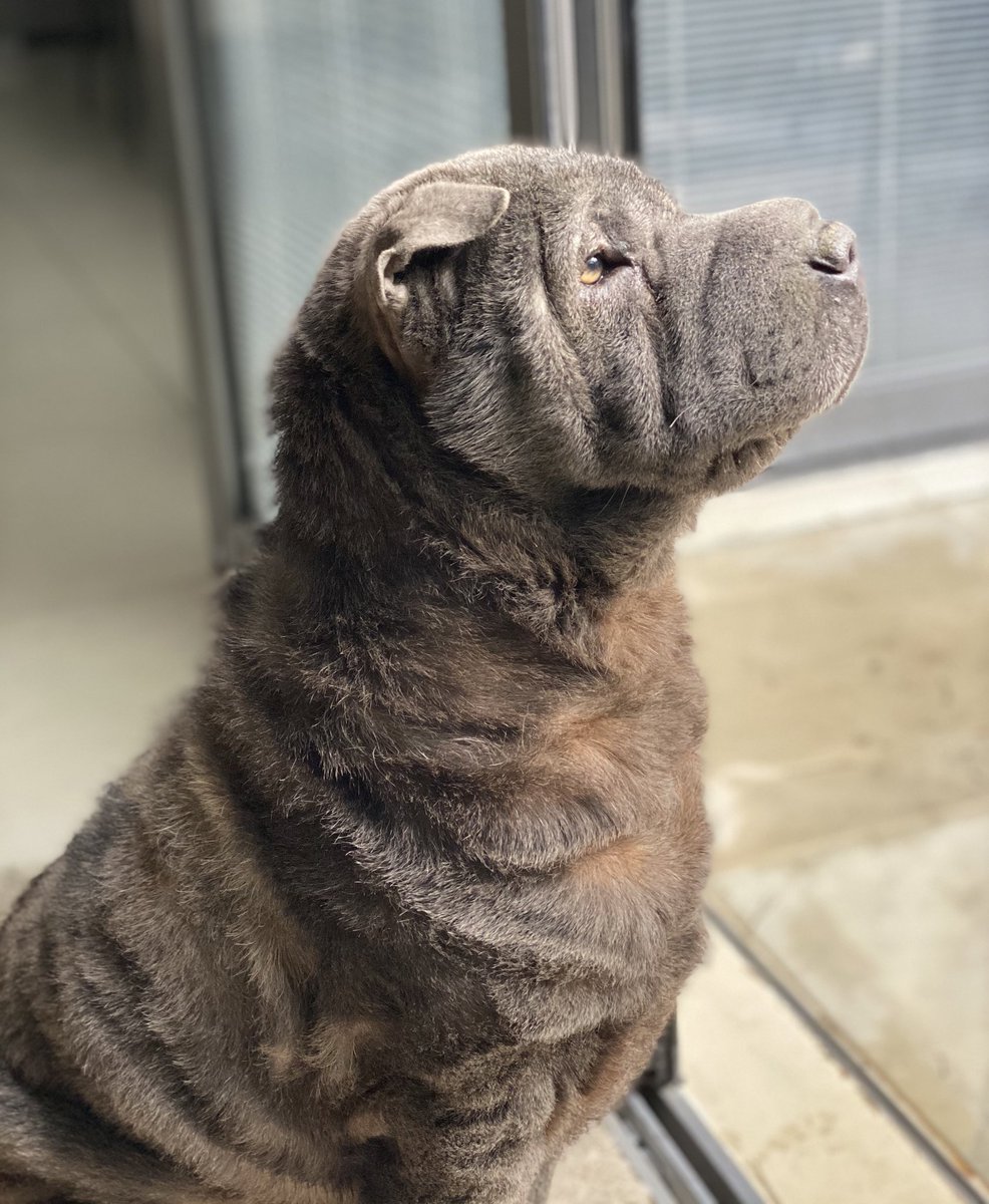 Louise Redknapp tweet media