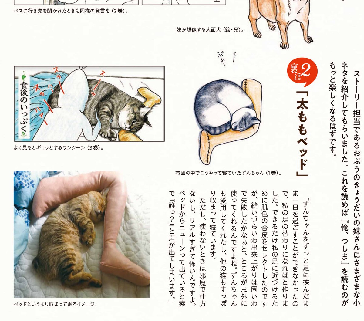 や、どうも。きょうも『俺、つしまBOOK』のせんでんです。
『俺、つしま』のひみつが明かされる「ウンチク事典」では、兄さんの作画のこととか、あと裏ばなしとかもいっぱいなんだよ。
便せんつき「限定版」は、よやくの数で刷る数を決めるみたいなのでご予約がオススメです。おねがいしますよ。 