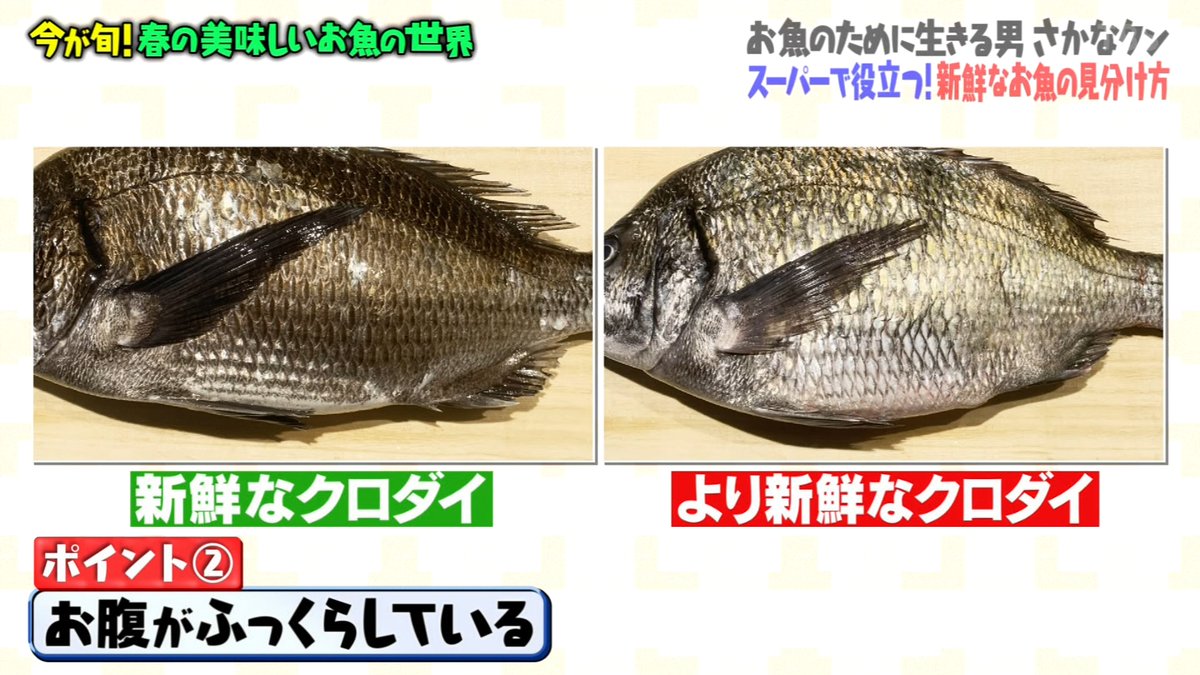 マツコさん美味しすぎて これは悪魔よ さかなクンさんが紹介する自宅で楽しめるお魚アレンジレシピ マツコの知らない世界 2ページ目 Togetter