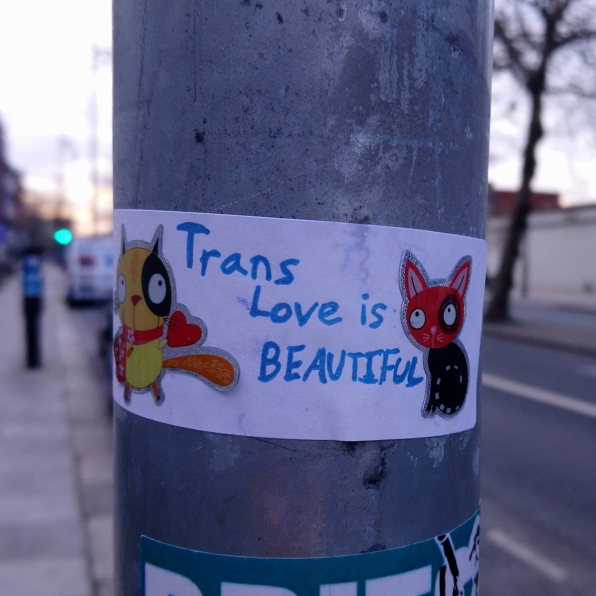 Dublin Stickers Against Transphobia tweet media