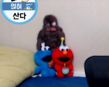 HoneyCombofan's tweet photo. [꿀콤보의 페이보릿]
퍼글러&amp;노예 둘(쿠몬과엘모) https://t.co/0rUrQrhpzp