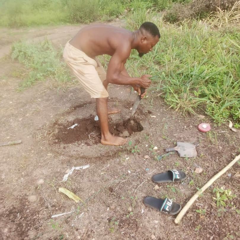 MsElsieReed's tweet photo. My #Farm located in d hospitable #community in #Ondo, #Nigeria. In d course of establishing my farm I noticed that d community didn't have a good #water source close by, so i decided to #giveback to d community by giving them their own well of good water.
#naija
#Farmers https://t.co/z0iCfXigwT