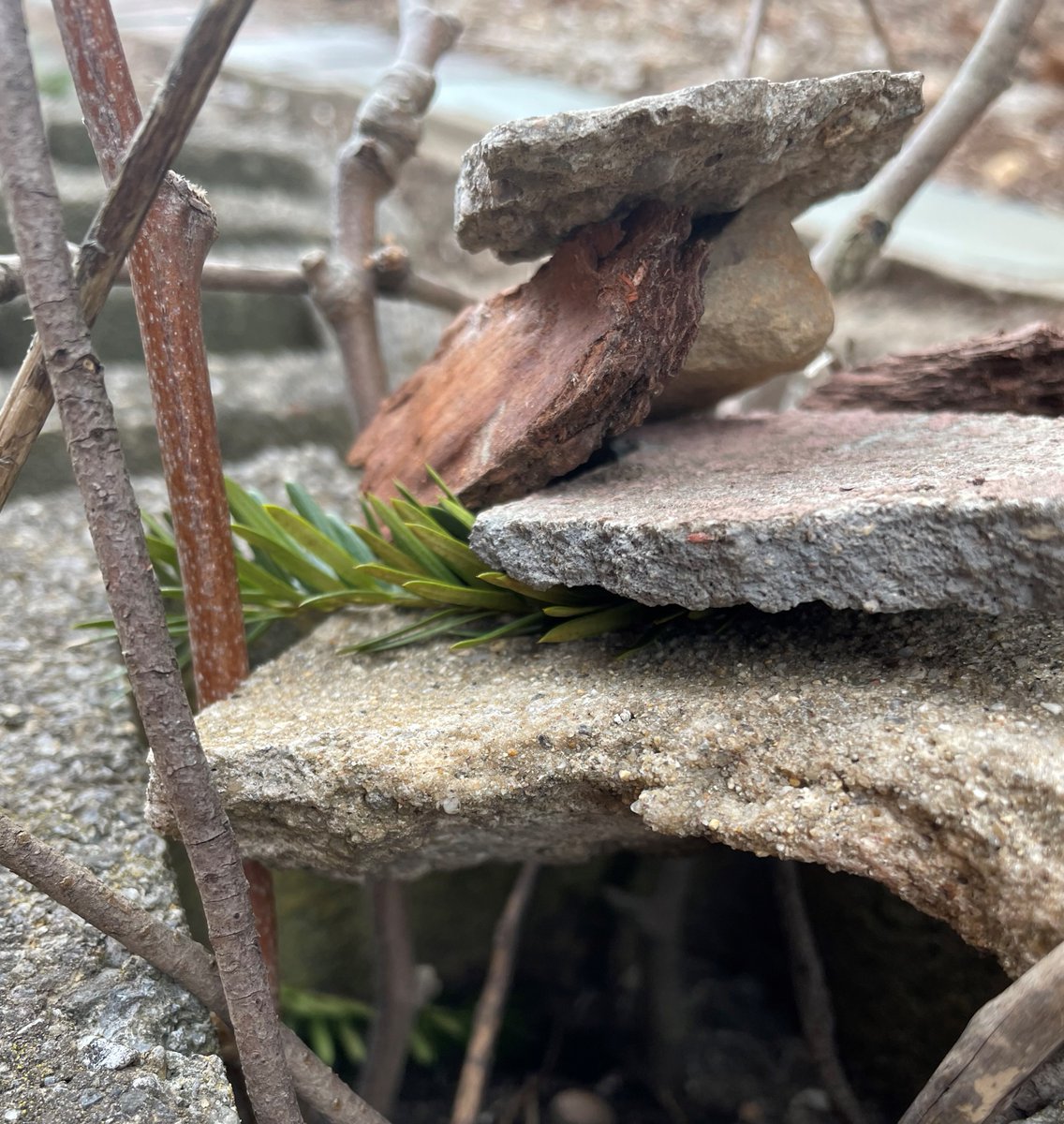 How did it turn out?! What did it become?!
---
Take a look in our story for the Finale of Create Space's Spring Mandala Mindset project with TJ!