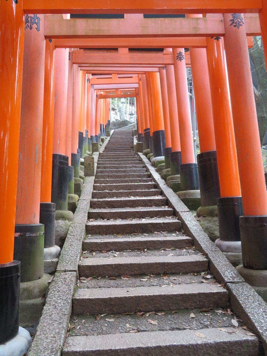StevenOnTheMove's tweet photo. Exactly 2 weeks ago, @TravelingTVI & I hiked to the top of Mount Inari. It was definitely an arduous trek, but it was absolutely exhilarating to reach the summit. #StevenExploresJapan https://t.co/FljzX1Qdm4