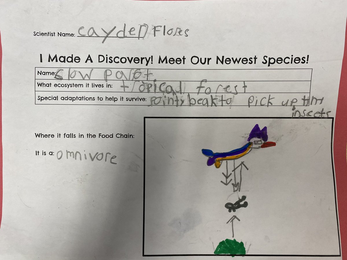 mscappa303's tweet photo. 3rd graders learned about plant&amp; animal adaptations in ecosystems of grasslands, freshwater, saltwater, tundra, tropical forest, &amp;desert. Scientists discovered new plant&amp; animal species in an ecosystem of their choice. They noticed adaptations &amp; where they fell on the food chain. https://t.co/Abue6t9733
