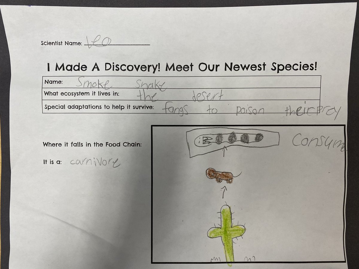 mscappa303's tweet photo. 3rd graders learned about plant&amp; animal adaptations in ecosystems of grasslands, freshwater, saltwater, tundra, tropical forest, &amp;desert. Scientists discovered new plant&amp; animal species in an ecosystem of their choice. They noticed adaptations &amp; where they fell on the food chain. https://t.co/Abue6t9733
