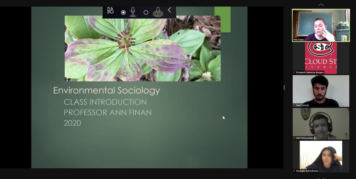 The second week into the <a href="/EducationUSA/">EducationUSA</a> Academy Connect at <a href="/stcloudstate/">St. Cloud State</a> university program participants attended a mock class on Environmental Sociology presented by Dr. Ann-Marie Finan.