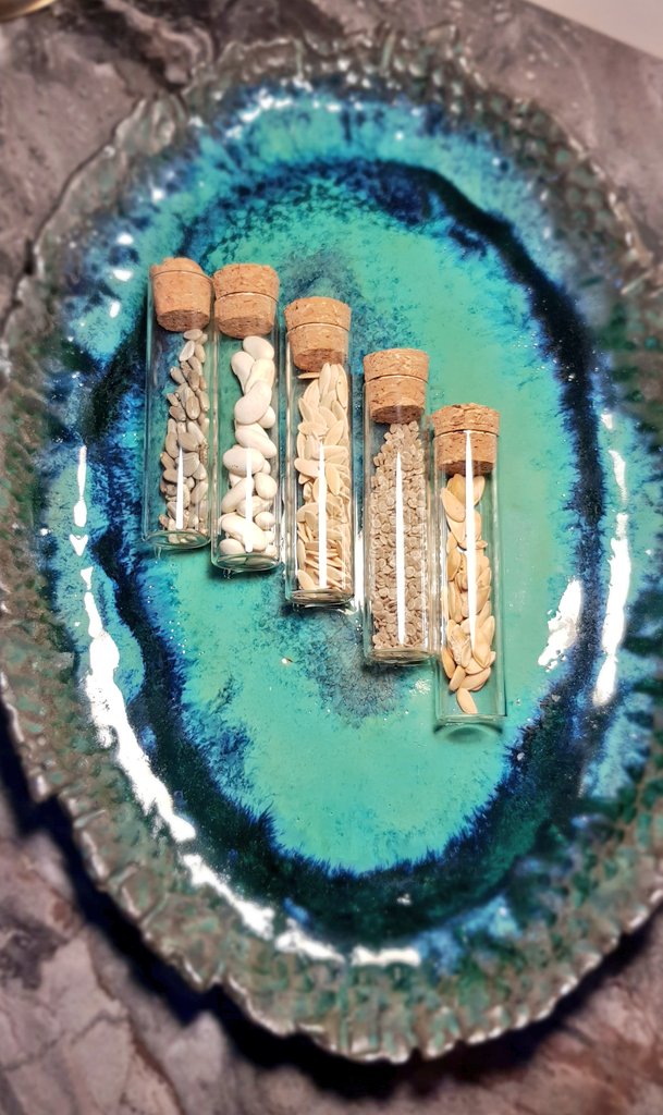 20 Nisan 2021 saat 21:⁰⁰ a kadar bu twete RT eden 3  takipçimize  görseldeki ATA tohumları çekilişle  hediye ediyoruz.🐞  ( Uzun Kavun - Çanakkale Pembe Domates - Kılçıksız  Fasulye -  Enginar - Salatalık )