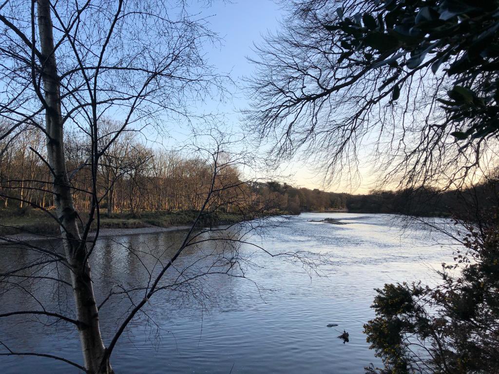 Lovely evening walk along the north bank of the River Dee. So peaceful and quiet. #aberdeen #walks #fittaedee