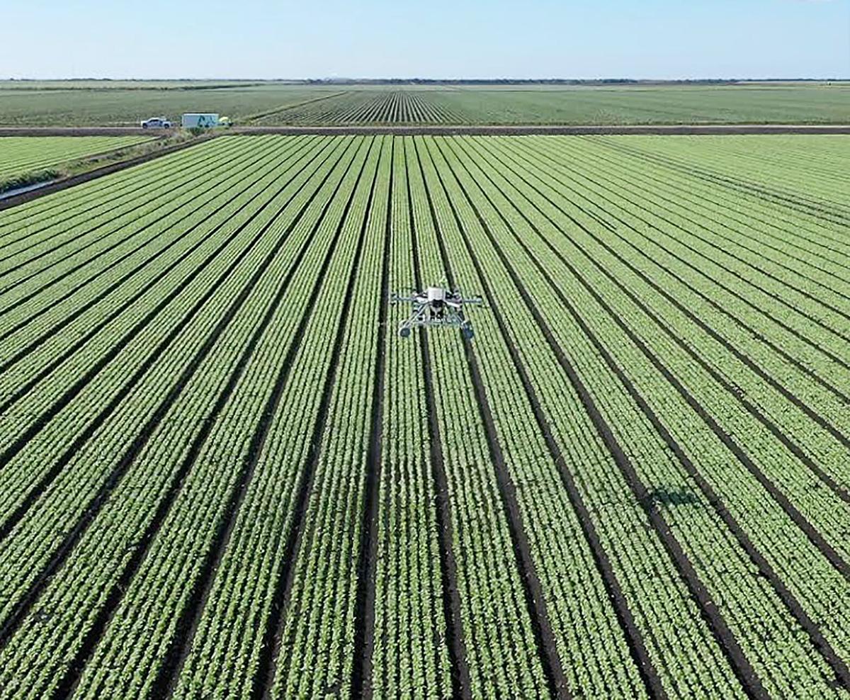 EHelipad's tweet photo. Drone startup to offer crop-dusting service https://t.co/3jI9Ar1Aeu eHelipad is sponsored by Casher's Aviation Finishes #ehelipad #guardianagriculture #agdrone #cropdustingdrone #dronetechnology #droneuse #evtol https://t.co/7erElQgp4U