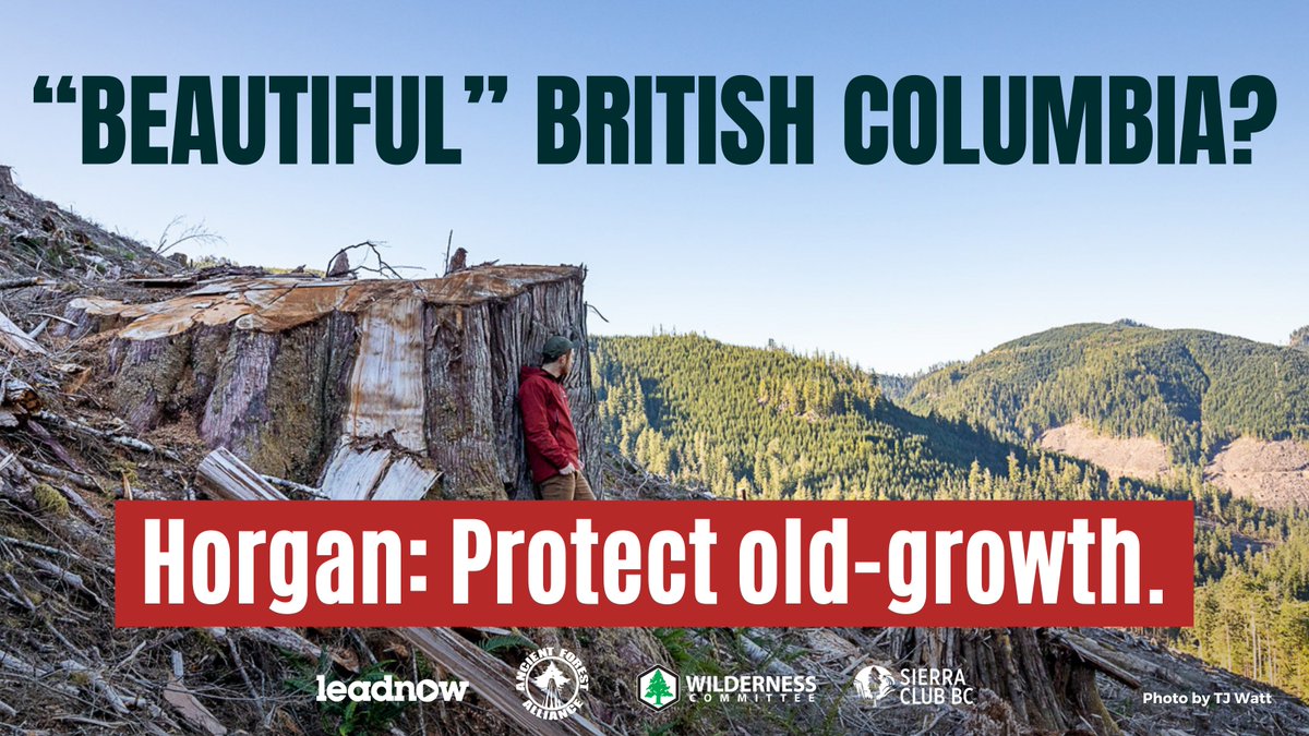 leadnowca's tweet image. Crowdfunded by @wildernews @AncientForestBC @SierraClubBC &amp;amp; @leadnowca, we’re putting up a massive billboard on Vancouver Island’s busiest highway calling on @jjhorgan to deliver on his promise to protect old-growth.

Share this to make sure he sees it. #ProtectOldGrowth #BCpoli