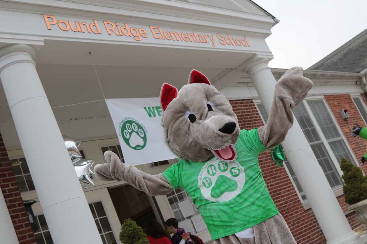 BCSDNOTES's tweet photo. What a day! The spirit &amp; energy in our buildings were palpable as we welcomed students back for our Second First Day (the start of 5 days a week learning for 2021!). 🦊❤️

Enjoy these photos from all around the district (more: https://t.co/gaco3L5uQO). #TogetherAgain #BCSDstrong https://t.co/5xnBgWFHwA
