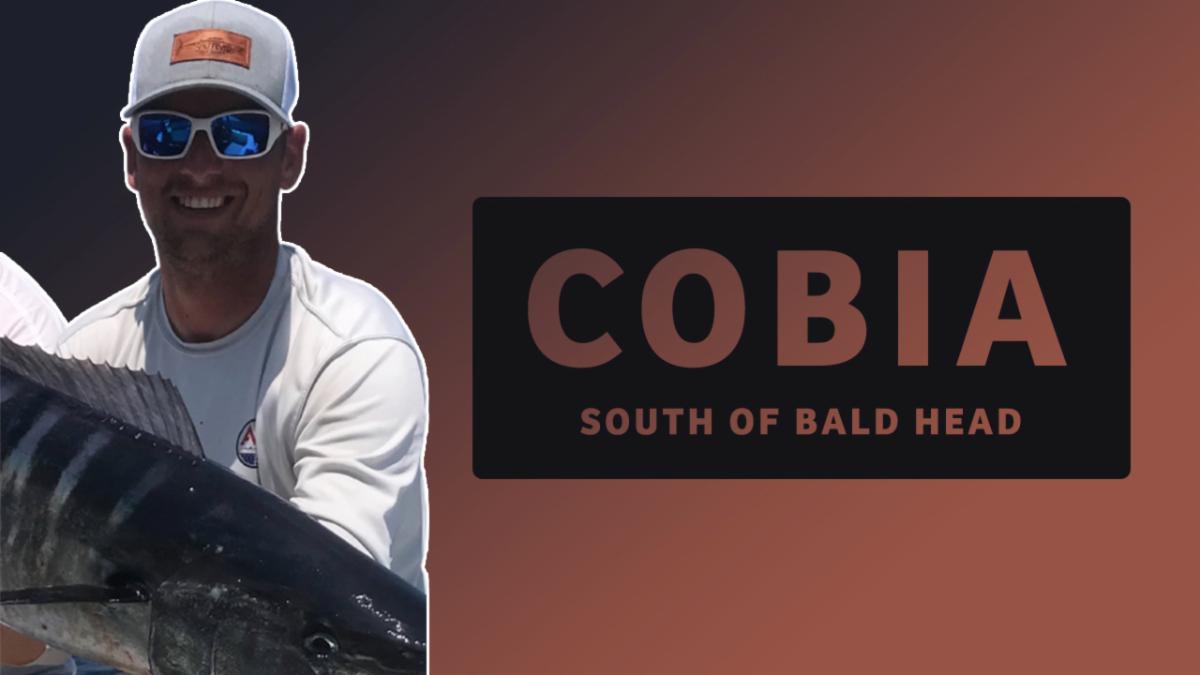 FishPoster's tweet image. Cobia South of Bald Head w Capt. Boomer Montgomery conta.cc/3sdDuVE