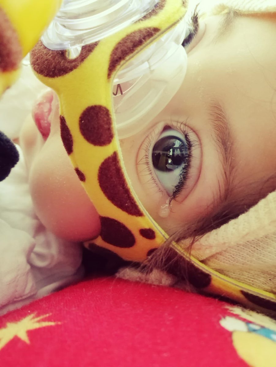 MilaMarzouk's tweet photo. ماقادرة احكي وخبركن عن وجعي بس دمعتي يمكن بتكفي تشرح عنهن ادعولي وضلكن حدي وساهموا بنقطة من ابرة الحياة🙏🏻 #ساعدوا_ميلا  #helpmila  @joyceabouzeidan @amanie_geha @MohamedBinZayed @saadhariri @HHShkMohd @emiratesrc https://t.co/fuTXzNetL9