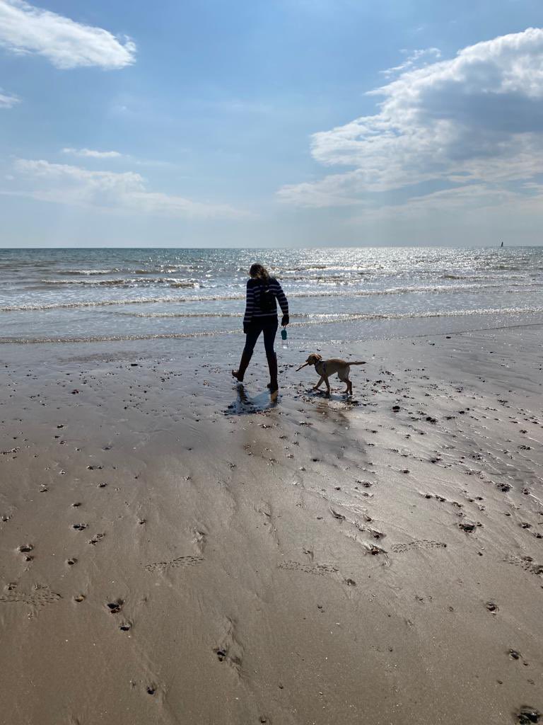 AFM_History's tweet image. First time at the beach for this little thing and she wouldn’t let go of this stick... #holidaybeachtimes #historyteacherholiday #hashtag