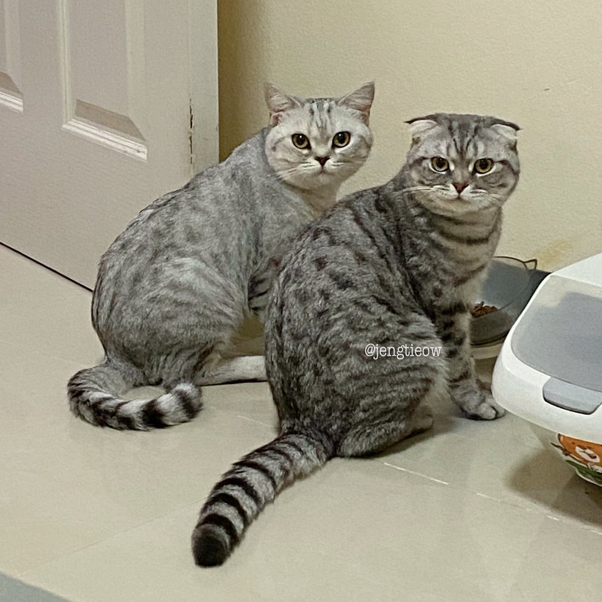 ฟามสัมพันธ์กับแงวในบ้านก็แค่คนเทข้าว /// มองไร๊แมร๊ ลุกมาเทข้าวสิ ดูเฉยๆข้าวมันเติมเองมั้ย!!!