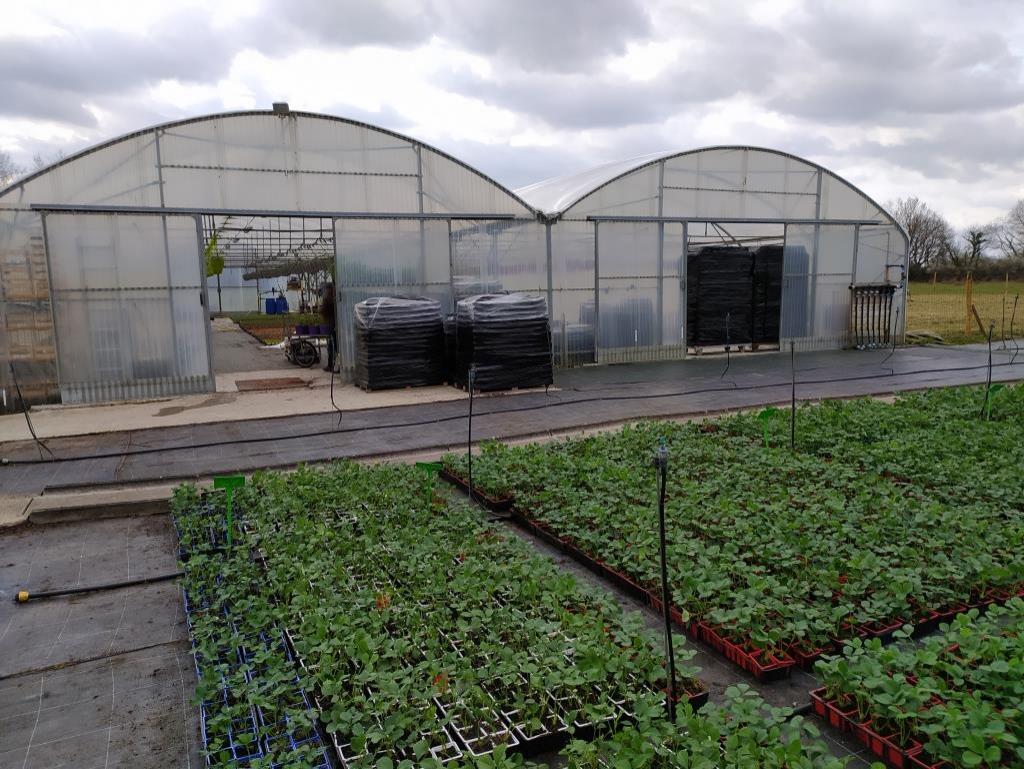 ChambagriPdL's tweet image. [RDI] Territoire Nord Anjou 20 km d'Angers, entreprise familiale spécialisée depuis 30 ans dans la production et la vente de plants potagers et plantes à massifs #horticulture Depuis 5 ans développement de #légumes frais en #ventedirecte #maraîchage 👉 bit.ly/3mKxfap