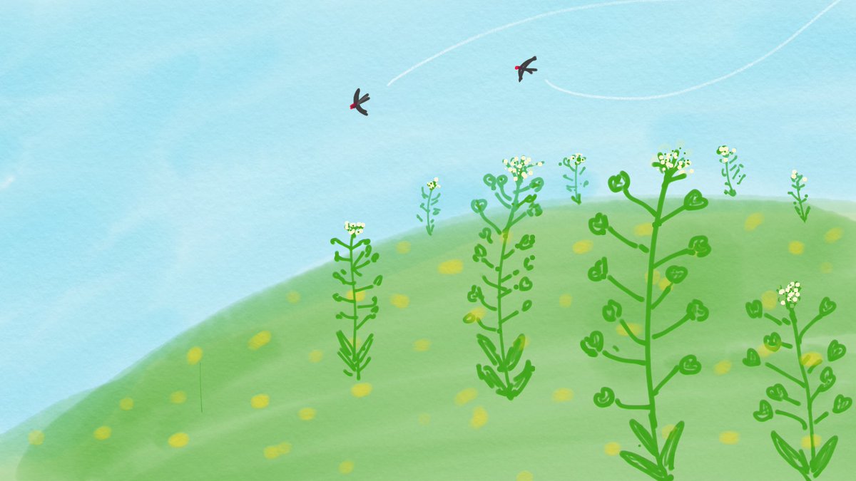 オンラインデジタルプリントa2 還暦 3歳児 描きたい盛りのお年頃 春 ぺんぺん草 と ツバメ 絵 イラスト ナズナ ぺんぺん草 ツバメ オンラインデジタルプリントa2 還暦 3歳児 描きたい盛りのお年頃 春 ぺんぺん草 と ツバメ 絵 イラスト ナズナ ぺんぺん草 ツバメ