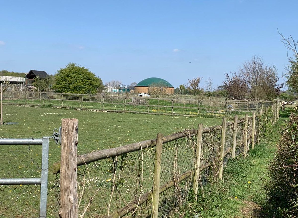 Green2Gas tweet media