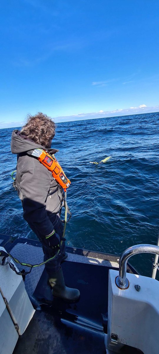 Ocean Knowledge @ Voice of the Ocean Foundation tweet media