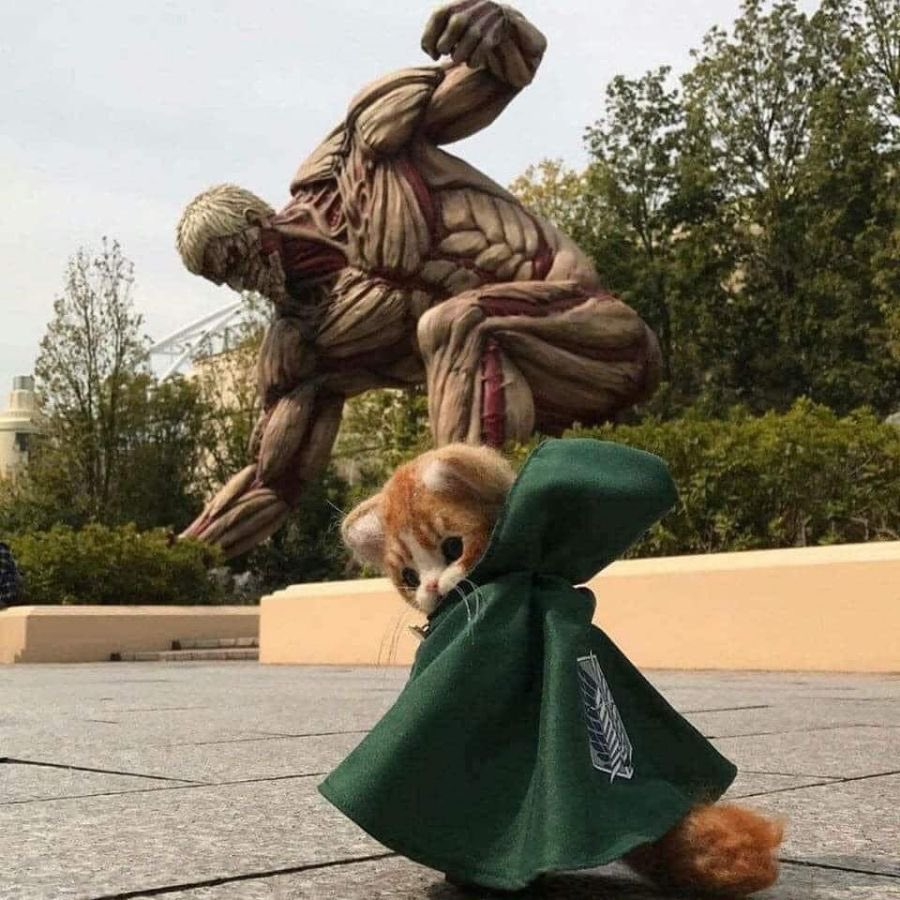 ghostly_boy66's tweet photo. @raplineshero Not my cat or picture but this belongs here https://t.co/j3dy7fg4Qm