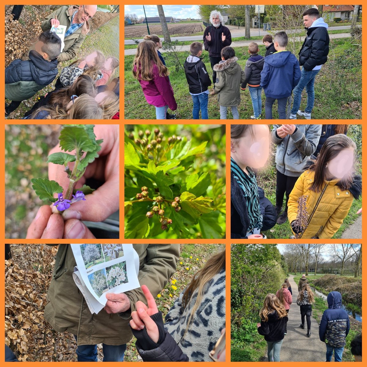 Ley0na's tweet photo. Met de groepen 6 van @Korenaer en de natuurgidsen van @IVNNederland hebben wij vandaag veel geleerd over o.a. stoepplantjes en biodiversiteit tijdens de Nationale Buitenlesdag. #Buitenlesdag #NationaleBuitenlesdag @jantjebetonline https://t.co/1NHvvTgkku