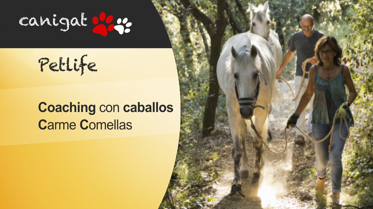 os presento el nuevo video donde hablamos del coaching con caballos canigat.com/PETHOME/PETLIF…
