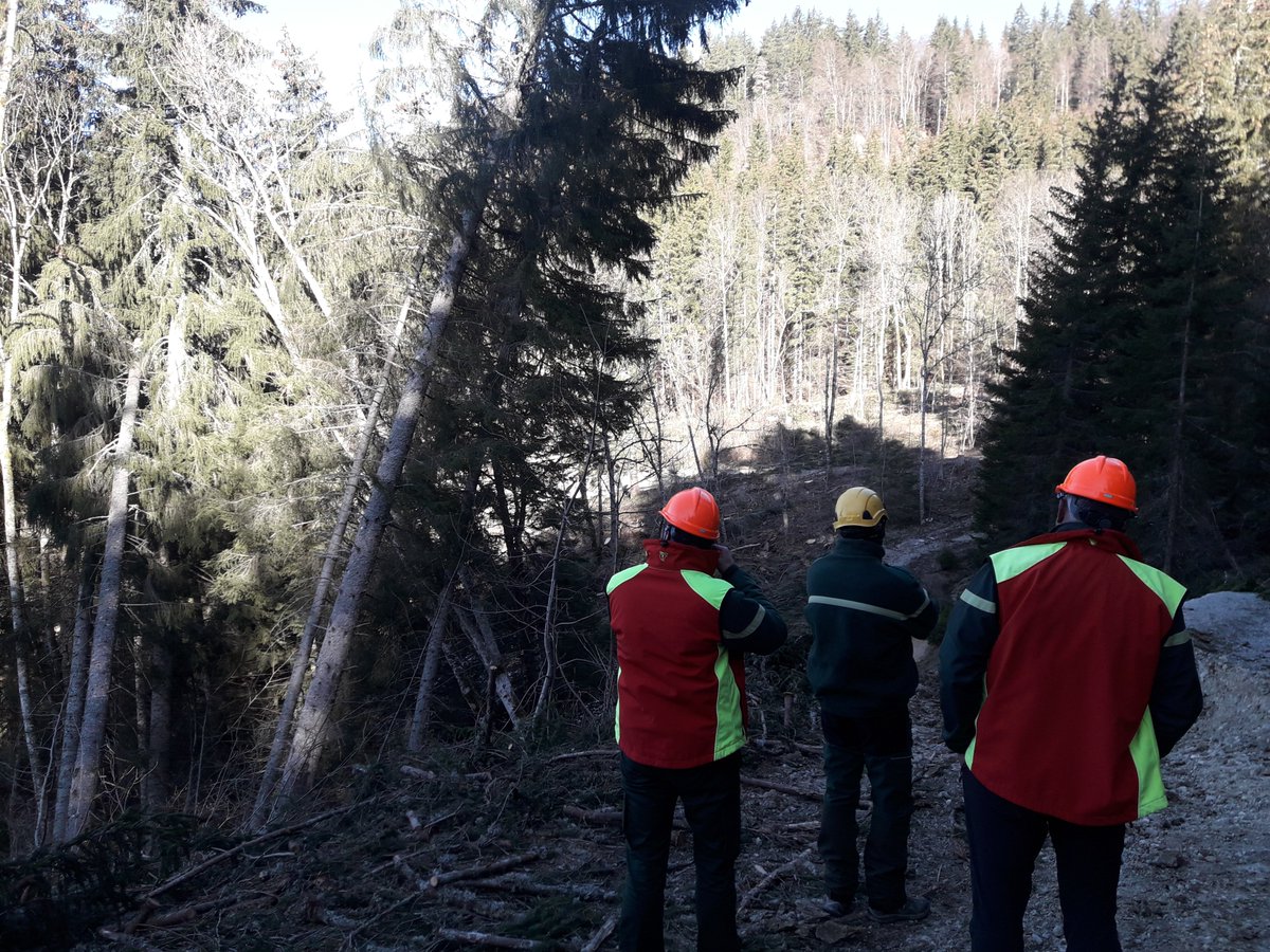 KarrNicolas's tweet photo. #Forêt du Nant des Granges, #Savoie : l'#ONF et ses équipes risques naturels du #RTM , en lien avec la commune du Châtelard, suivent un glissement de terrain qui s'est réactivé. Des travaux de drainage sont programmés. Une des missions d'intérêt général de l'ONF. @ONF_Officiel https://t.co/LCRpVYWTKH