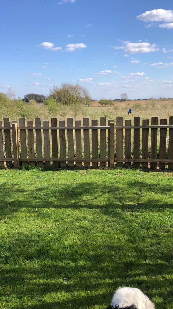 richwitt24's tweet photo. Lovely in the Lincolnshire fens today🌞 https://t.co/YeTFTb1kKm