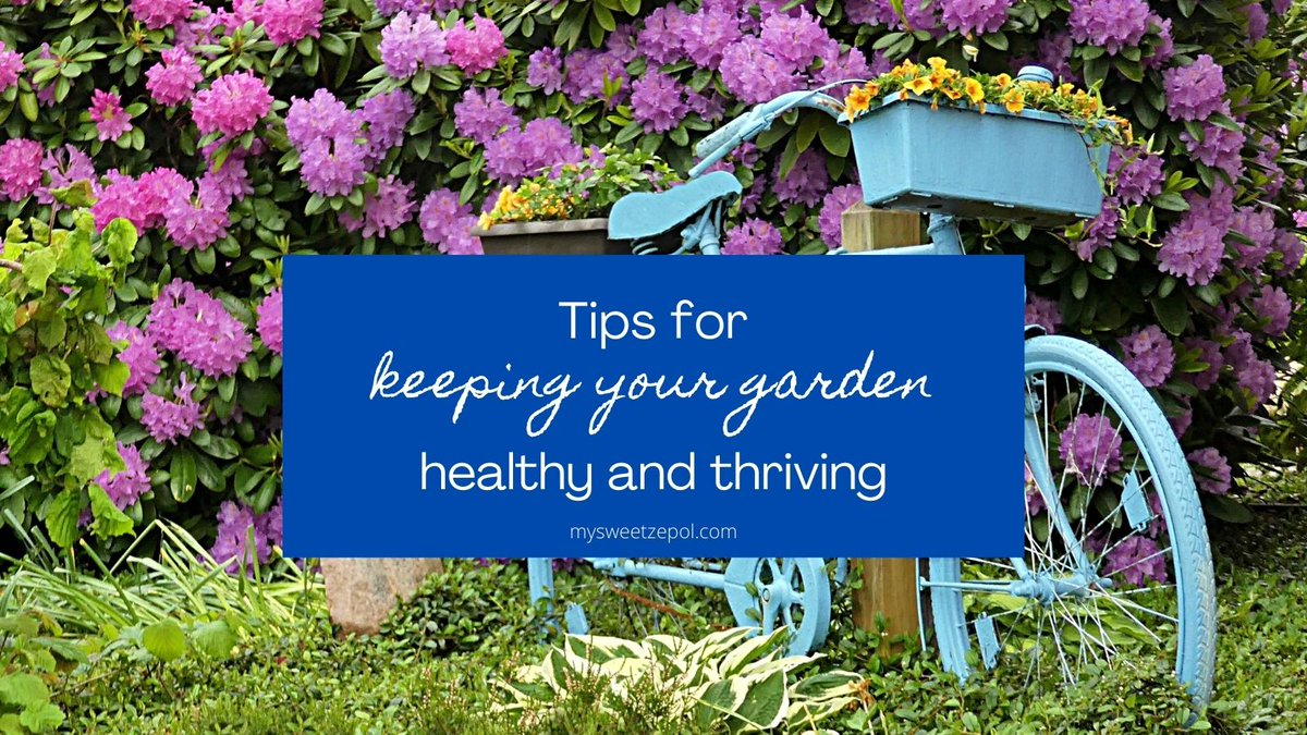 Keeping your #garden healthy and thriving might be one of the hardest things to do.🌺Tell us, what are you growing in your garden this year?🌸 bit.ly/3te0DZm 🌸 #zulilyinfluencer #gardening #gardeningtips #gardenlove #weedingtools #gardentools #howtogarden