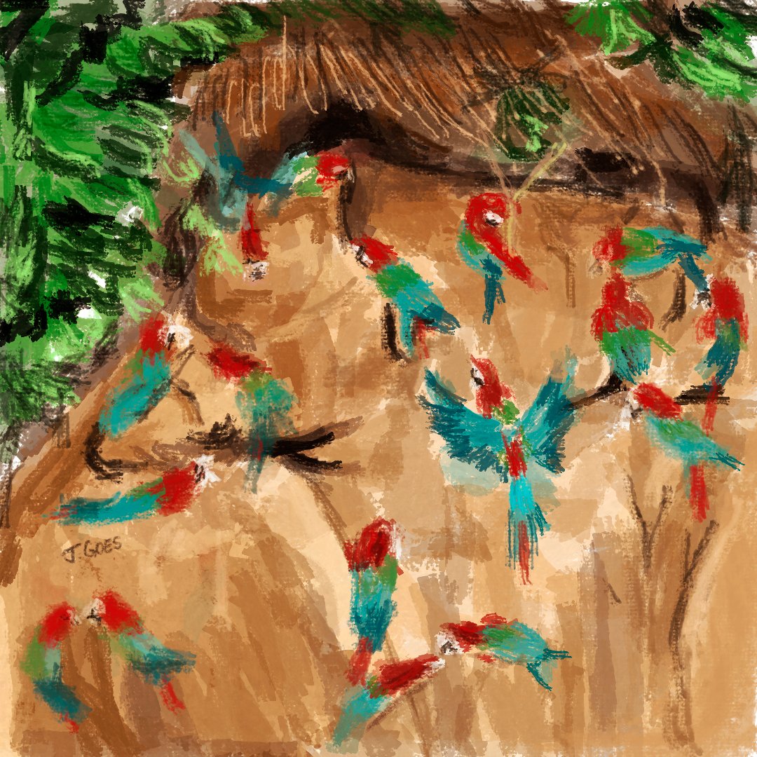 jessicargoes's tweet photo. Hi #PortfolioDay I'm Jessica, a Brazilian illustrator based in Brazil! I am available for work focusing on children's book illustration. Especially those that relate to representativity. ❤️
https://t.co/eZOuHQsjkI
https://t.co/WcCZc7UOQx https://t.co/fsyingEokK