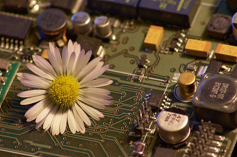 Mac IT Solutions tweet media